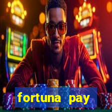 fortuna pay consultoria financeira ltda